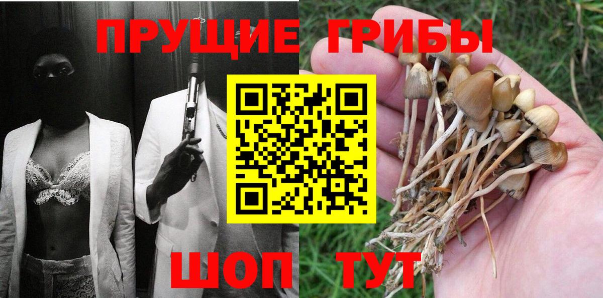 Псилоцибиновые грибы GOLDEN TEACHER  Вход с VPN  Кандалакша 